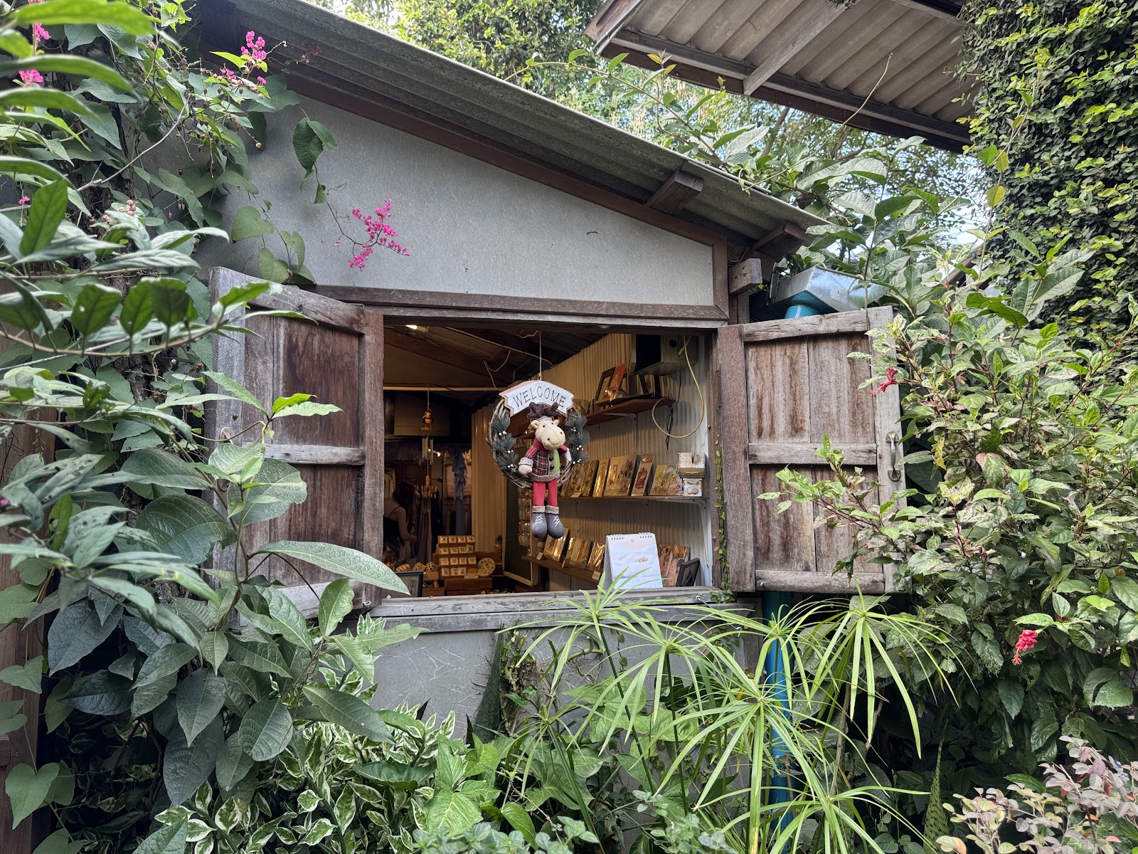 Wat Umong / Baan Kang Wat — נוף 3