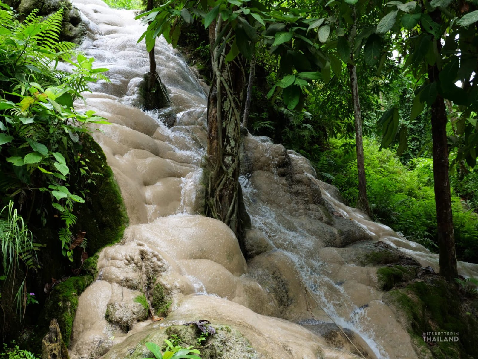 Bua Thong sticky waterfall, Chiang Mai