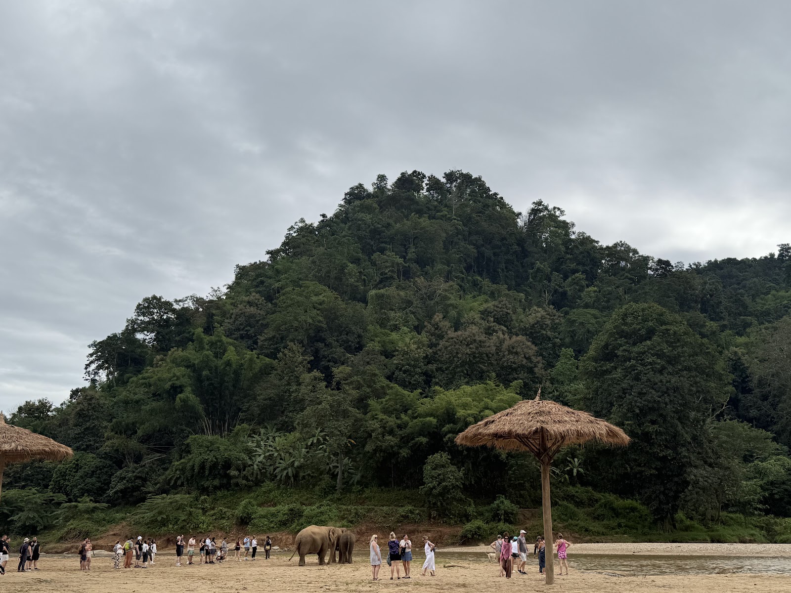The valley at Elephant Nature Park