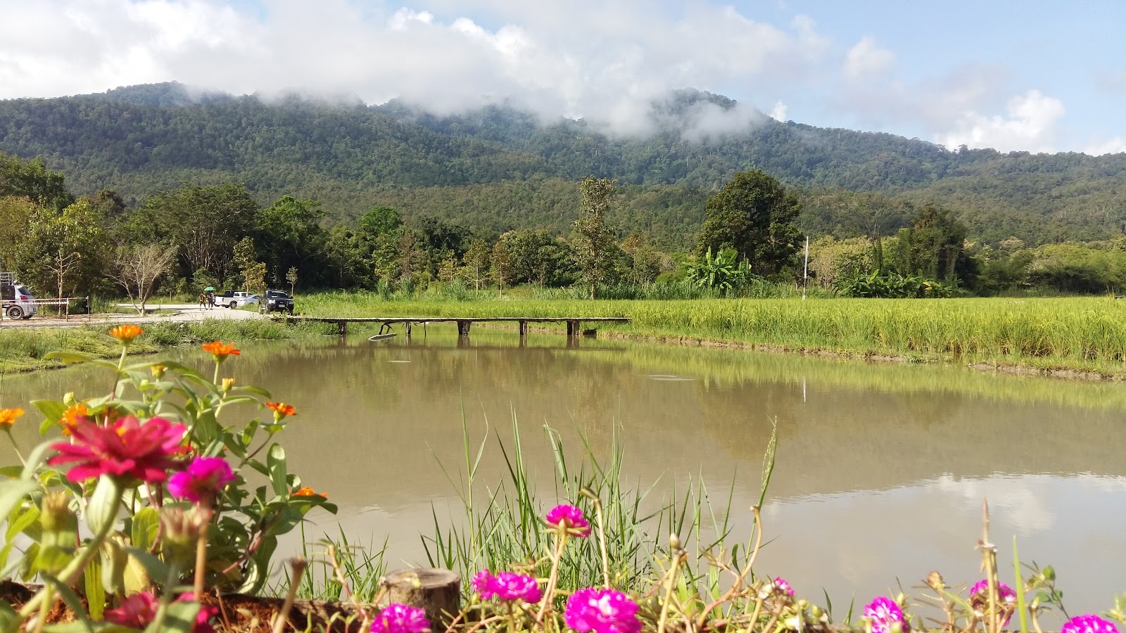 Lakeside eateries at Huai Tueng Thao