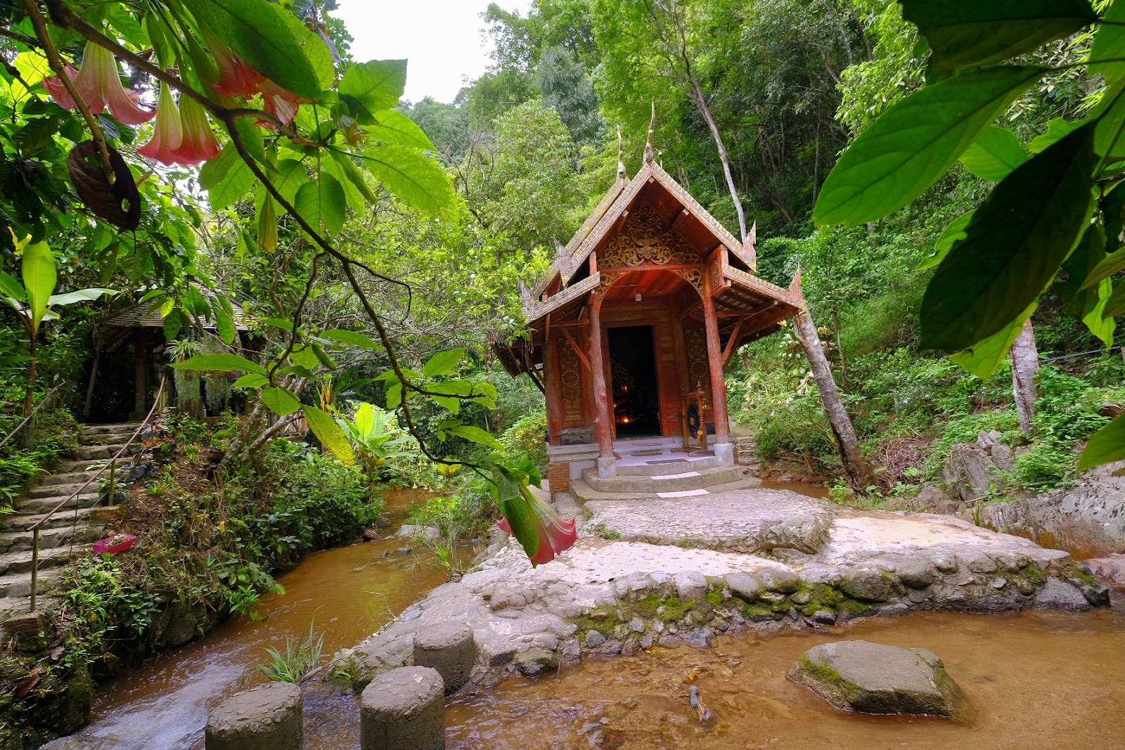 Forest and village at Mae Kampong
