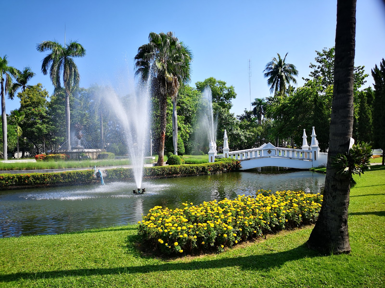 Nong Buak Hard Public Park, Chiang Mai
