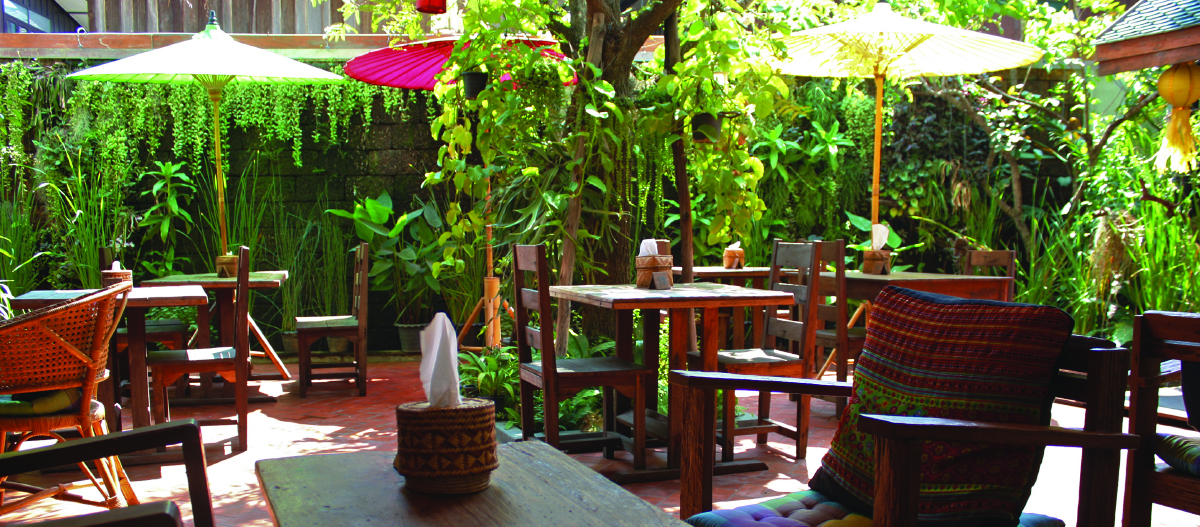 Reform Kafe vegan garden restaurant, Chiang Mai