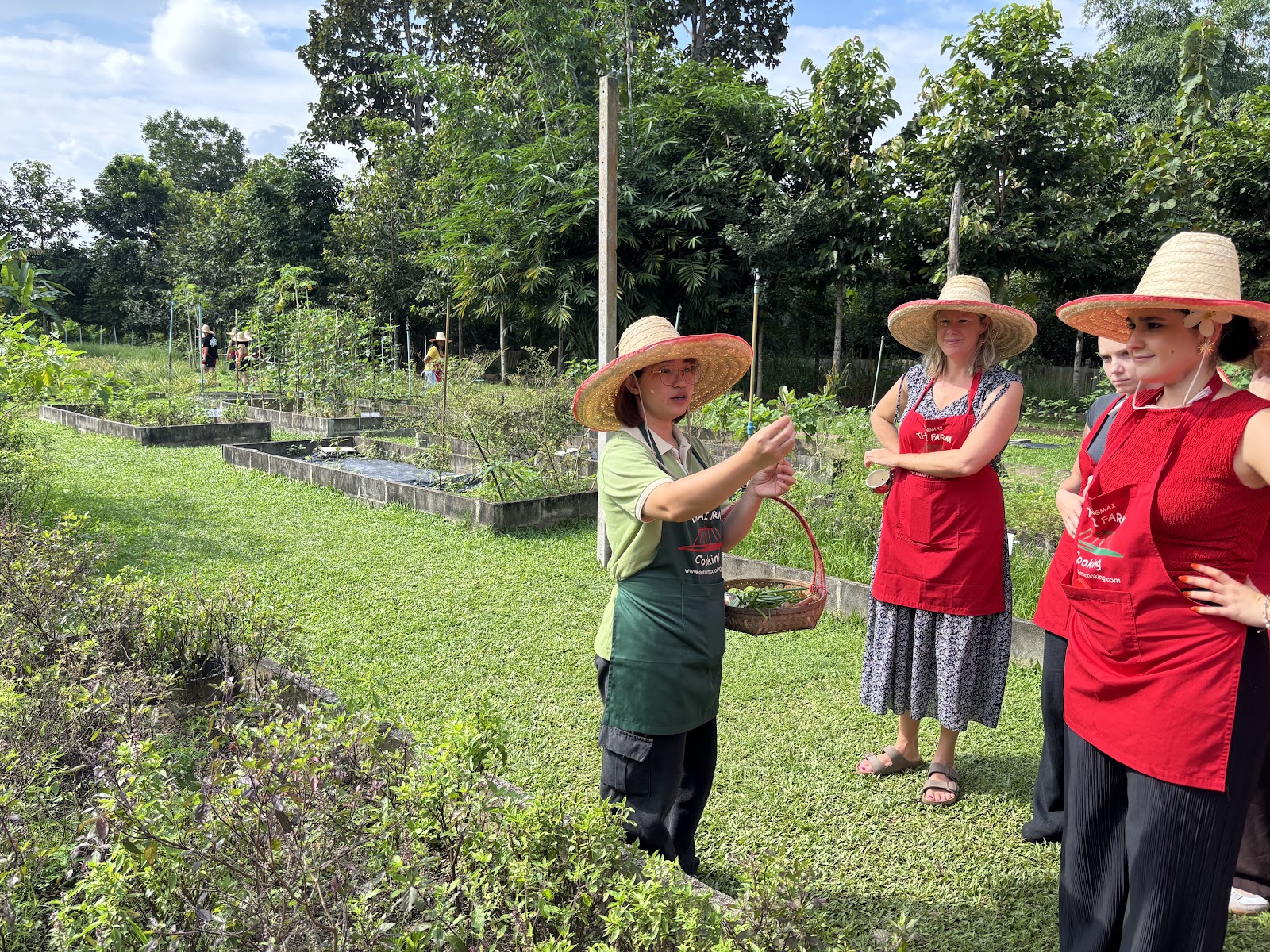 Dishes made at Thai Farm Cooking School