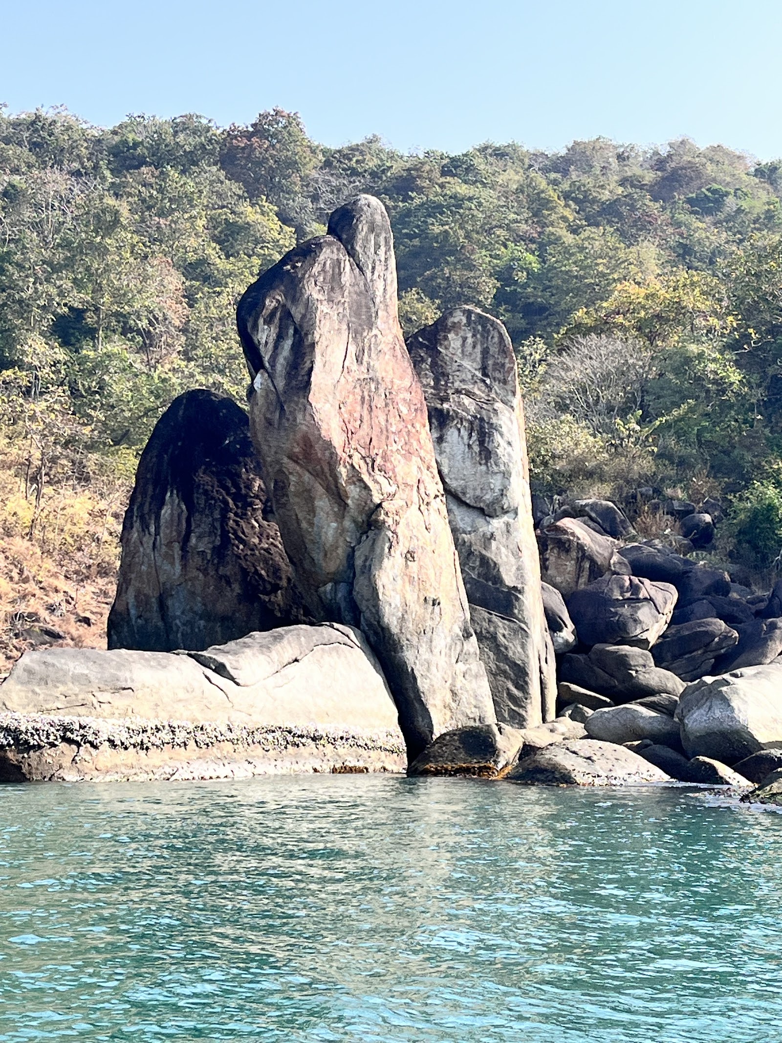 Butterfly Beach Goa