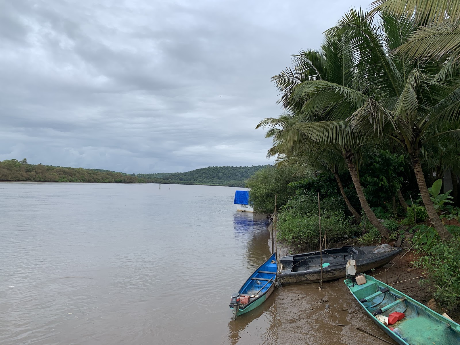 Chorão Island