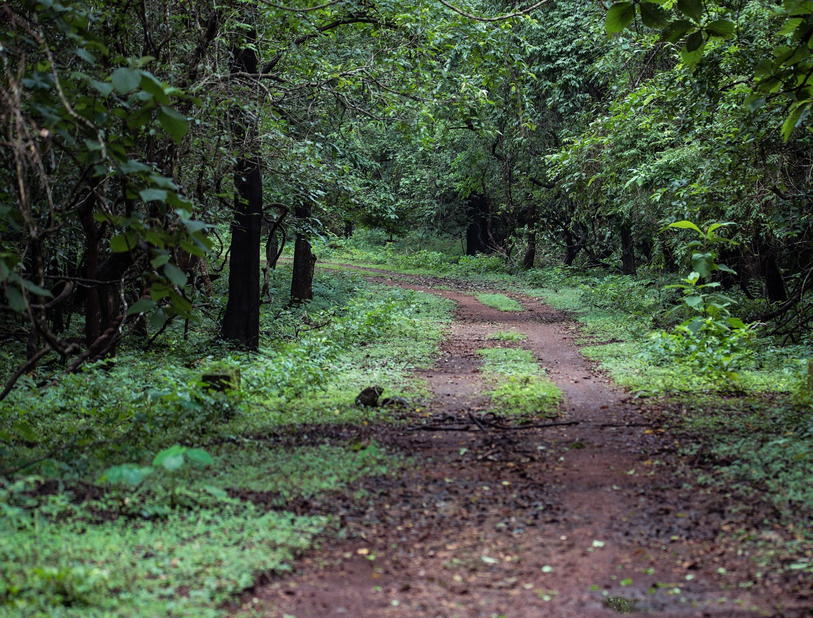 Cotigao Wildlife Sanctuary
