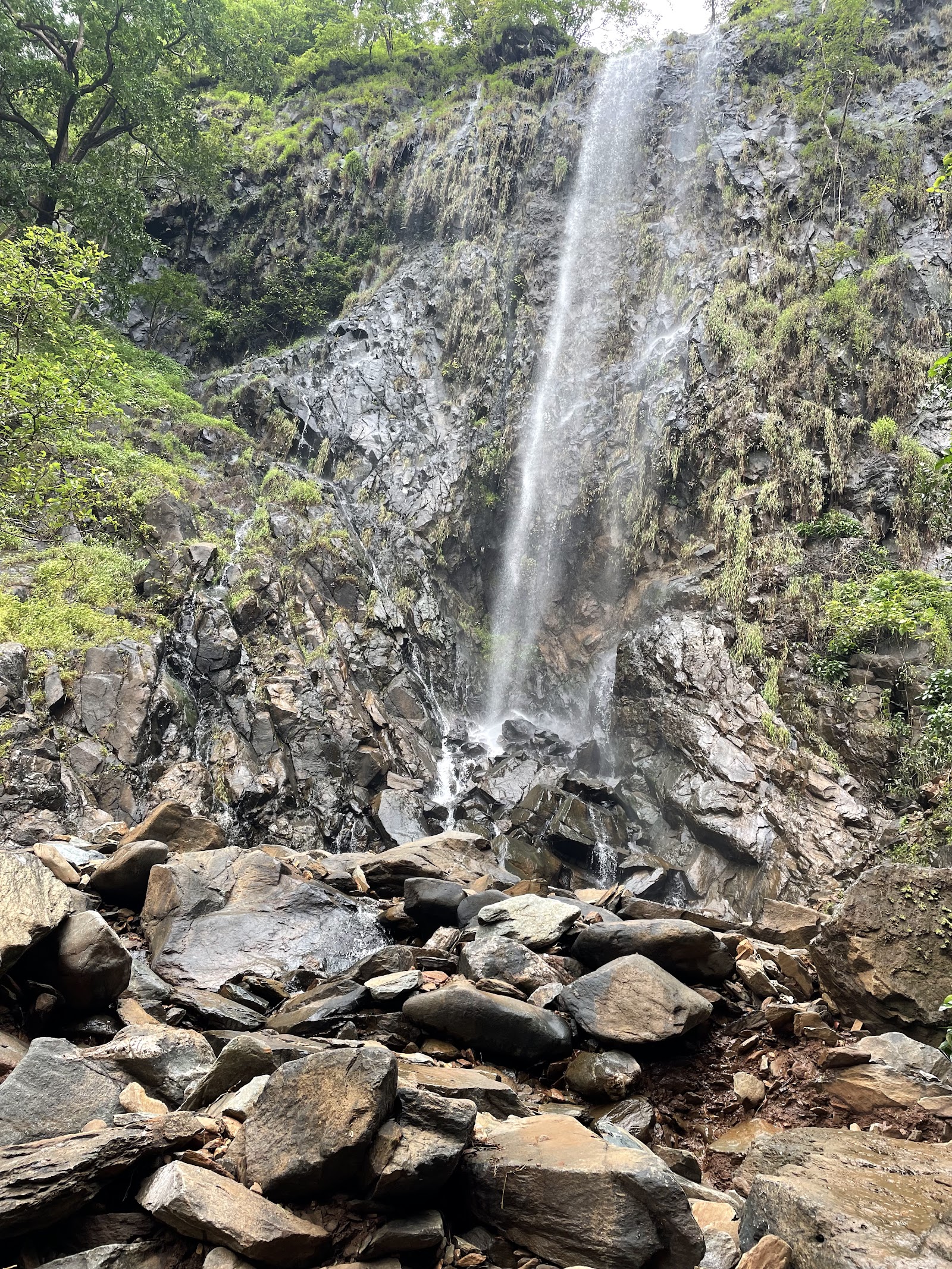 Cotigao Wildlife Sanctuary