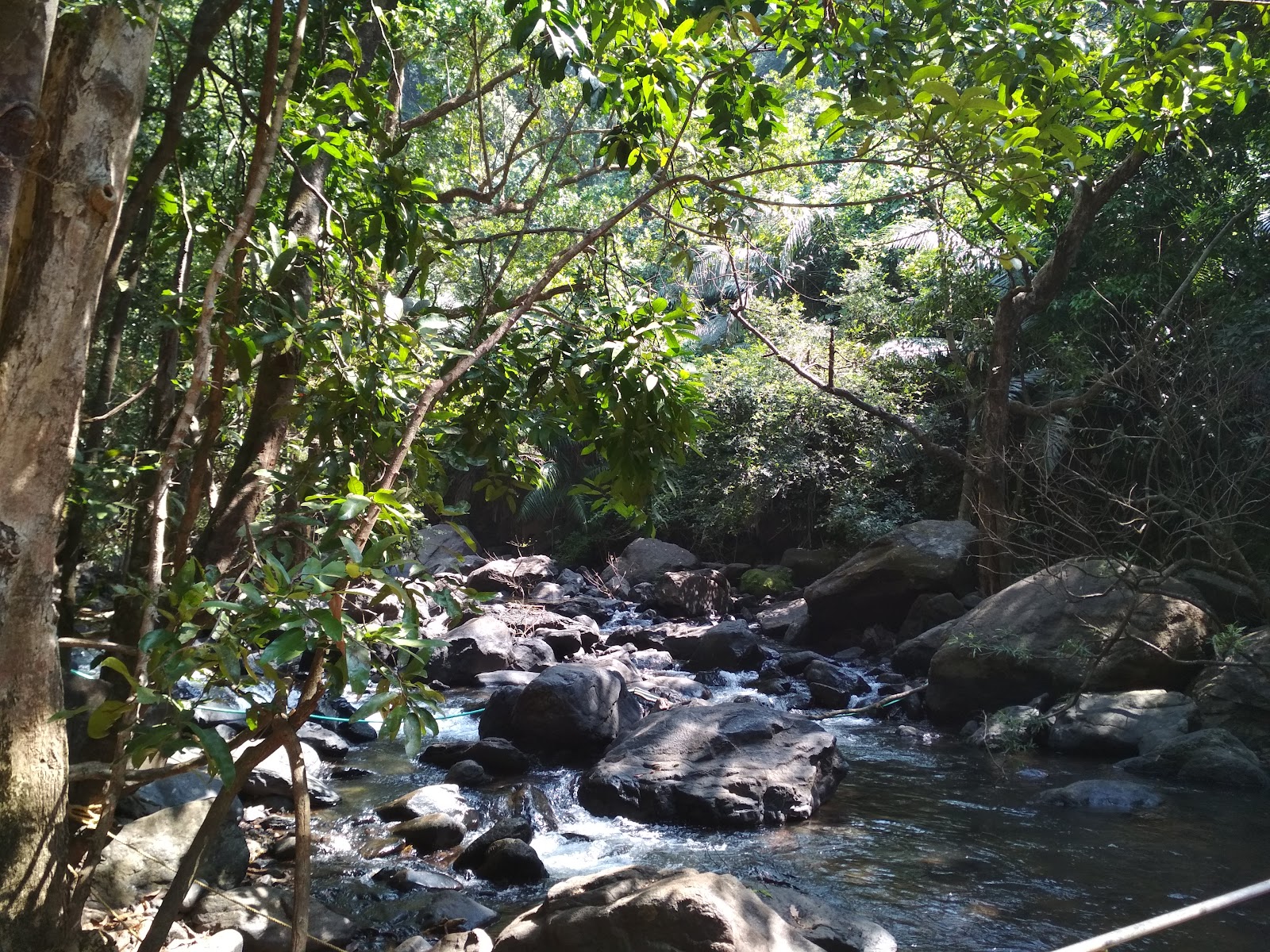 Dudhsagar Falls