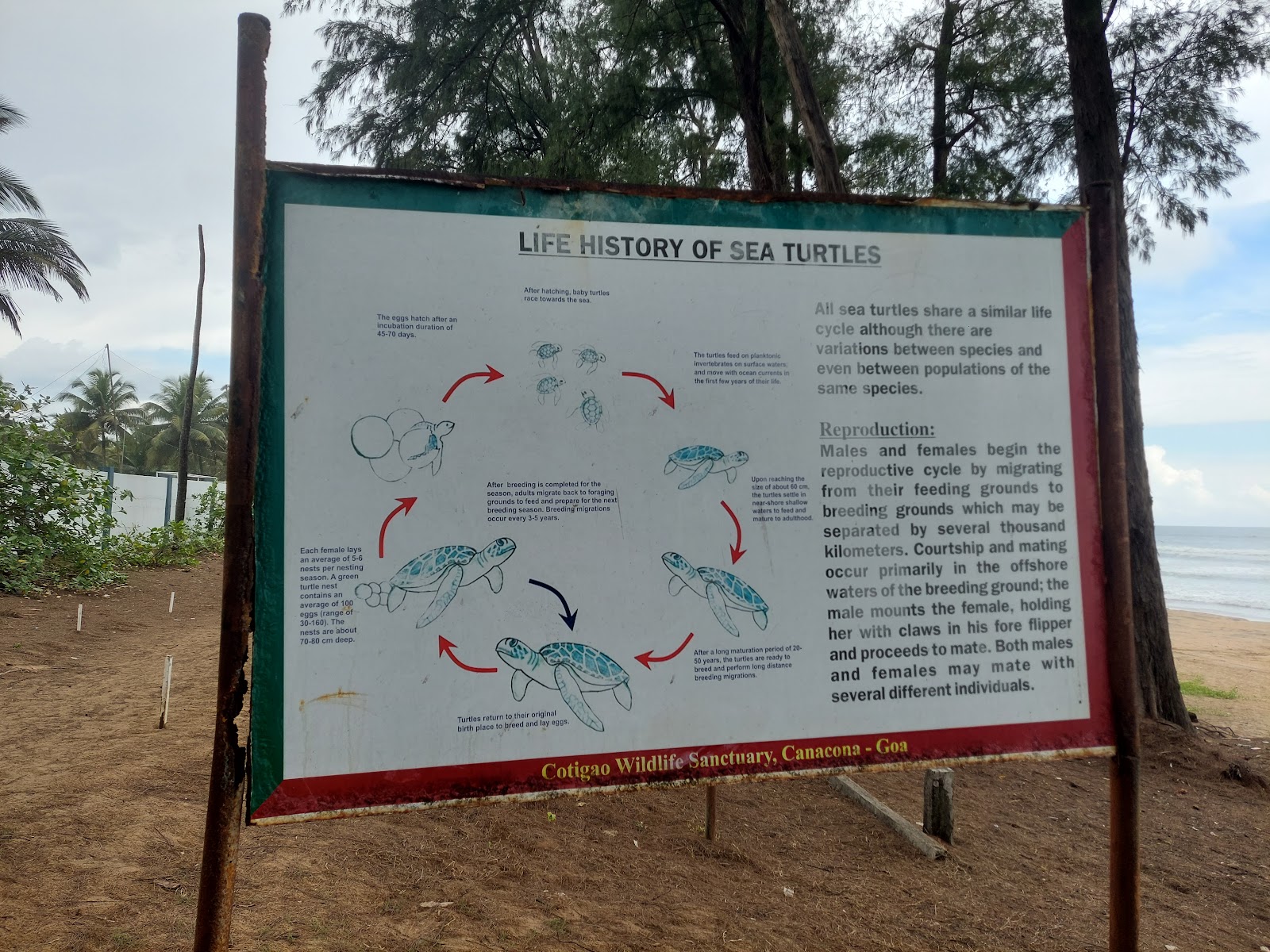 Galgibaga Beach