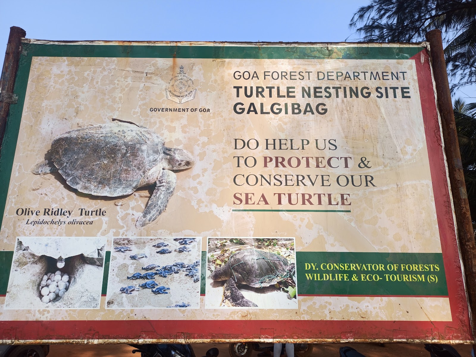Turtle Nesting Place Kansay Ghonter Vathar