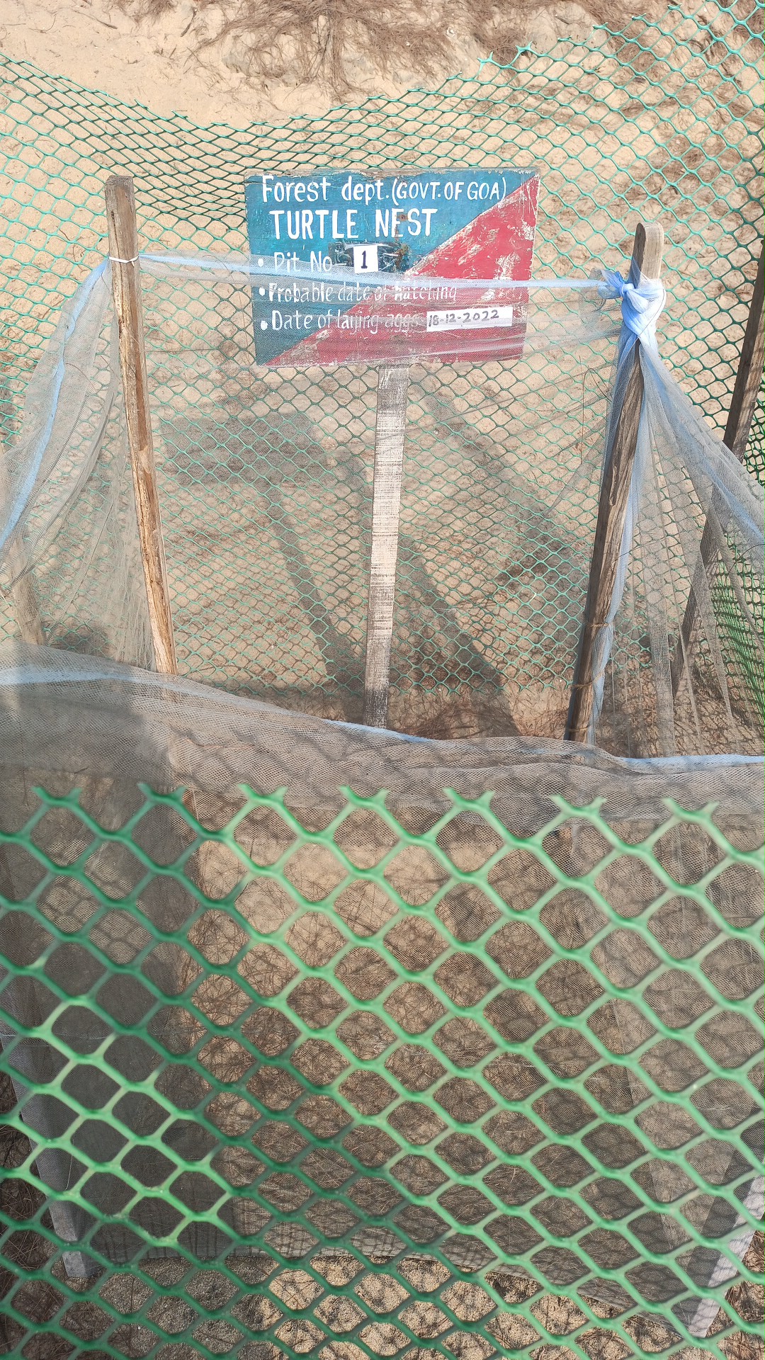 Turtle Nesting Place Kansay Ghonter Vathar