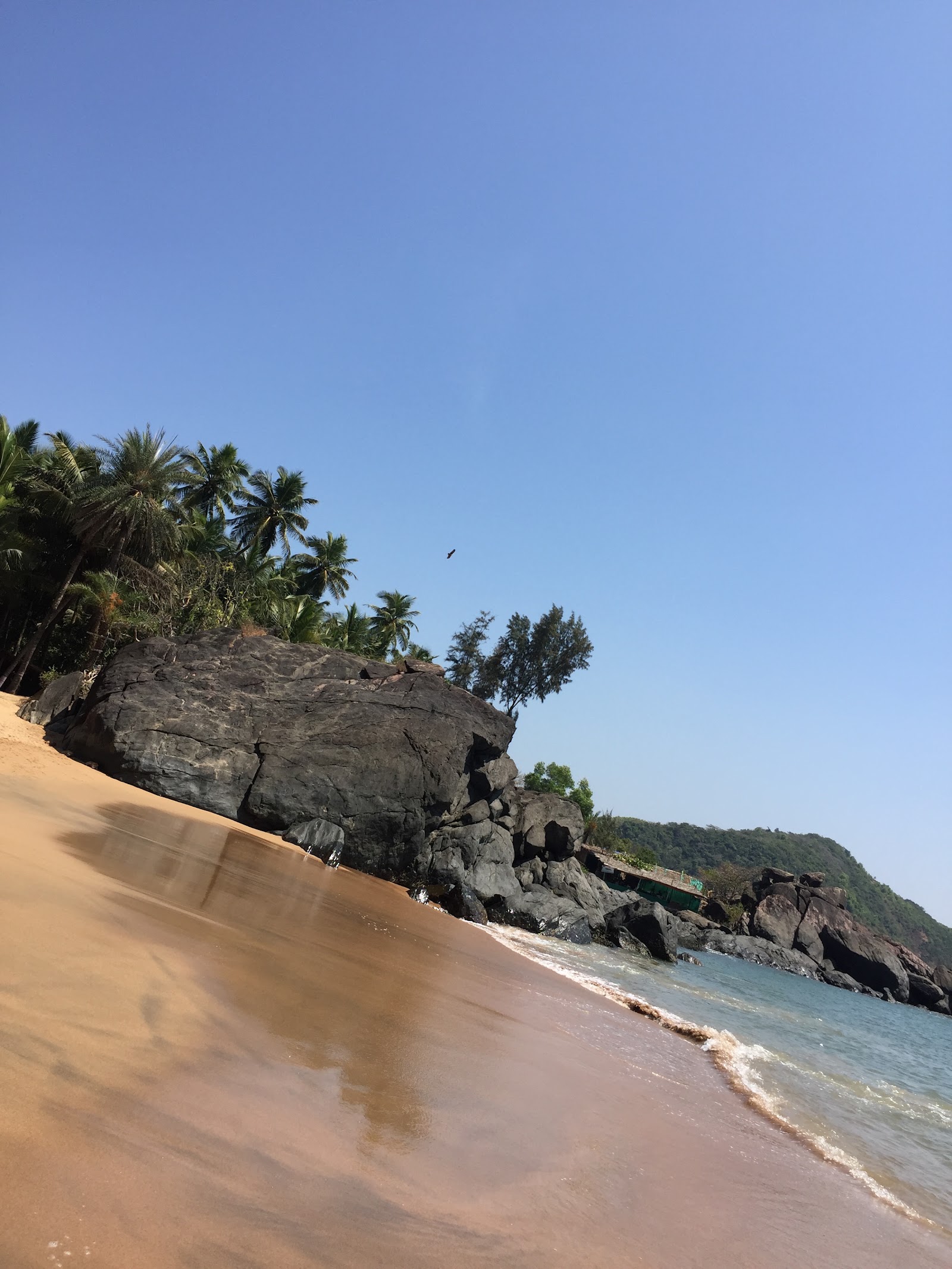 Half Moon Beach