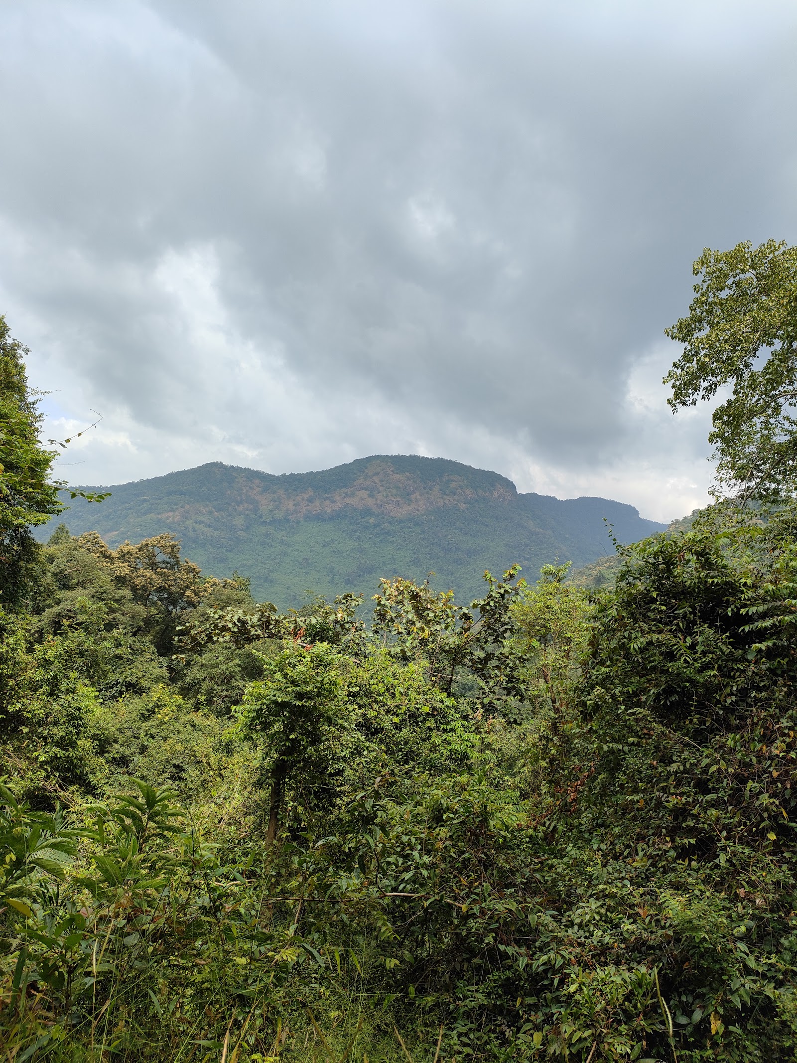 Mainapi Waterfall Netravali