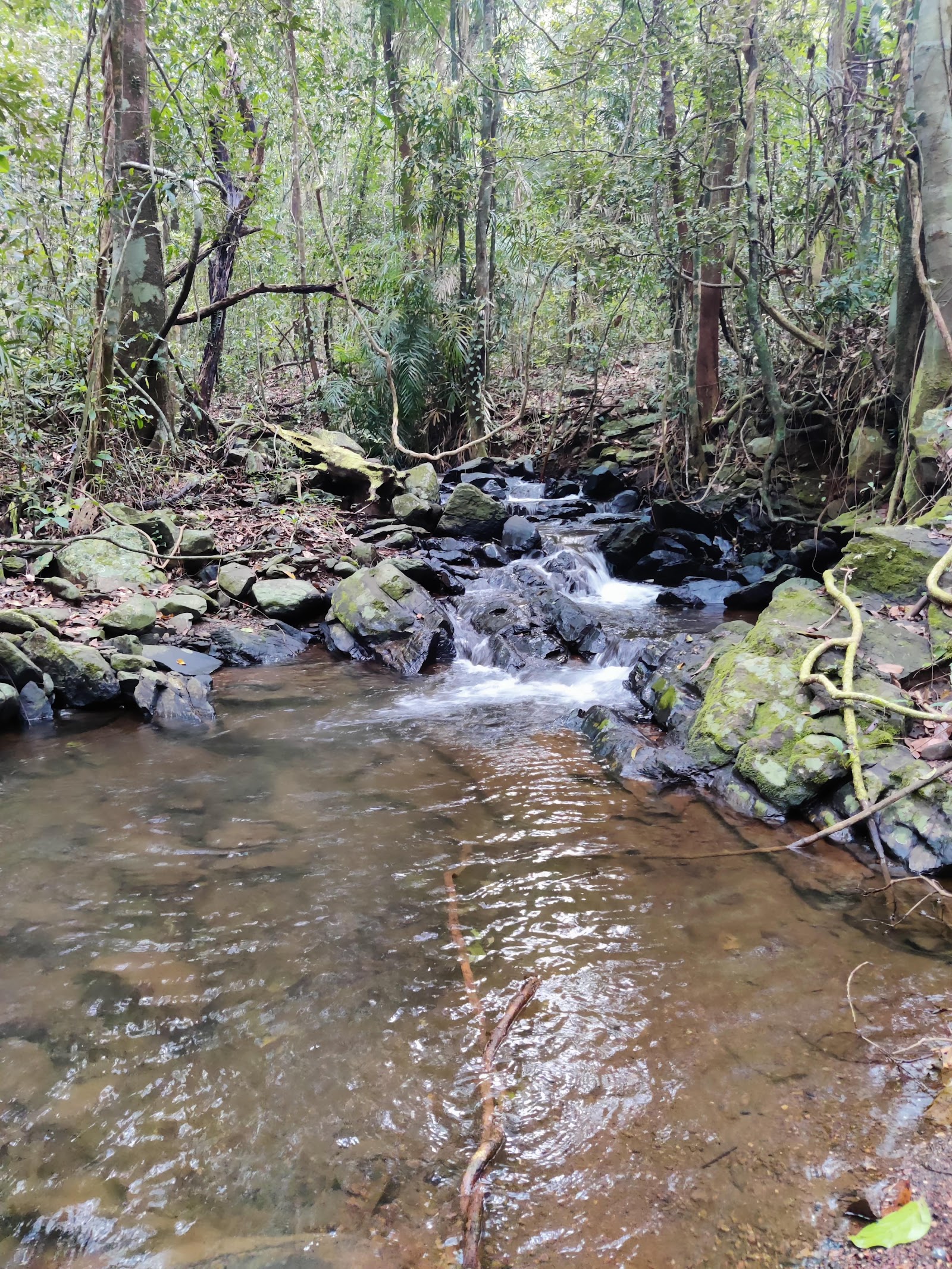 Mainapi Waterfall Netravali