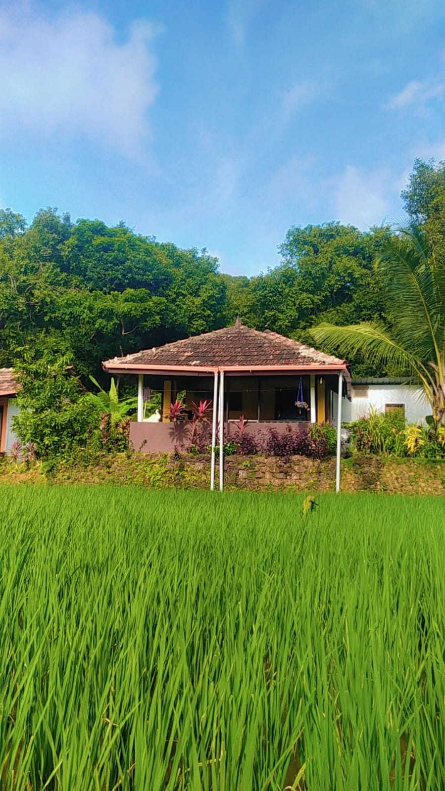 Narayan Farm Stay