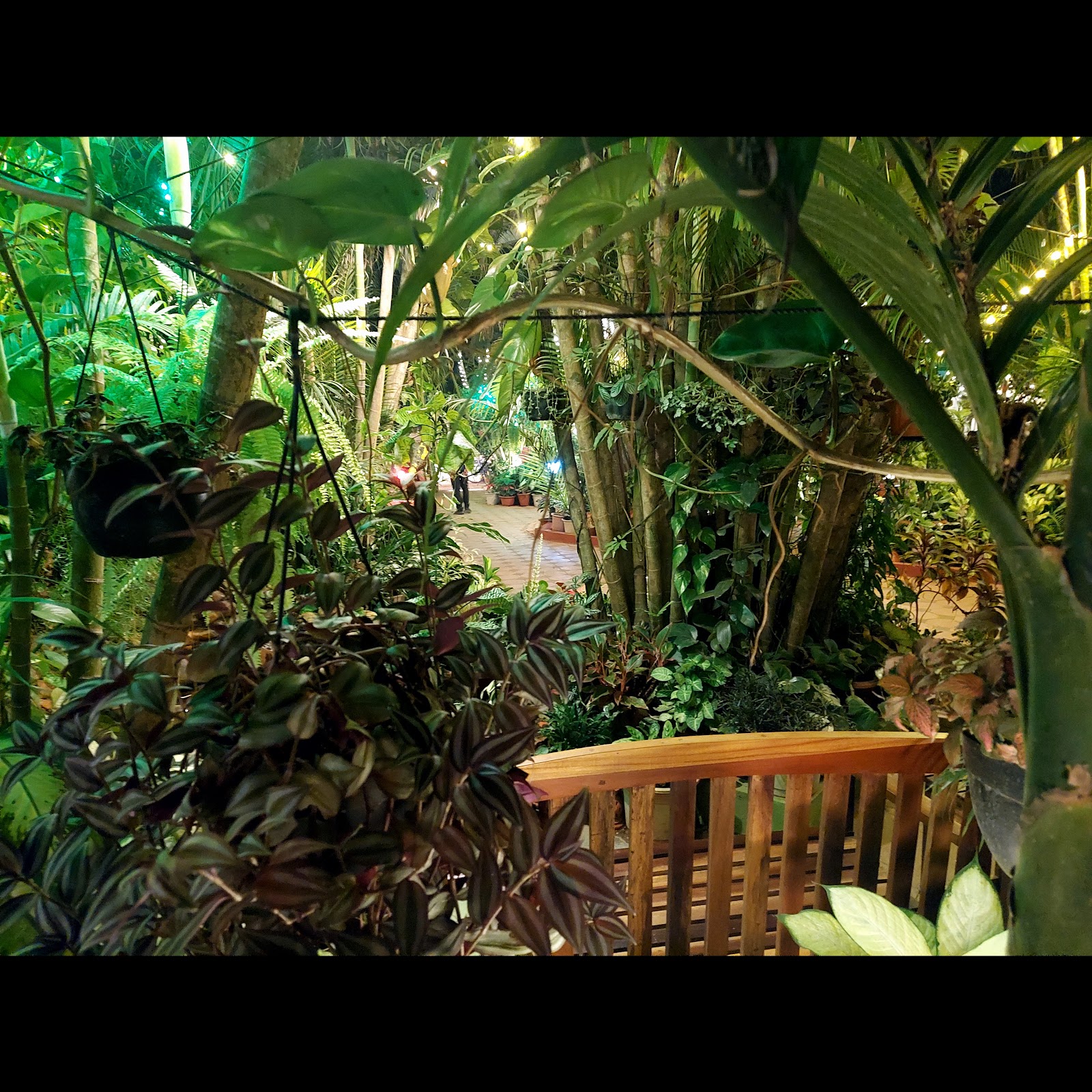 Palm Grove Cottages - Leisure Resort