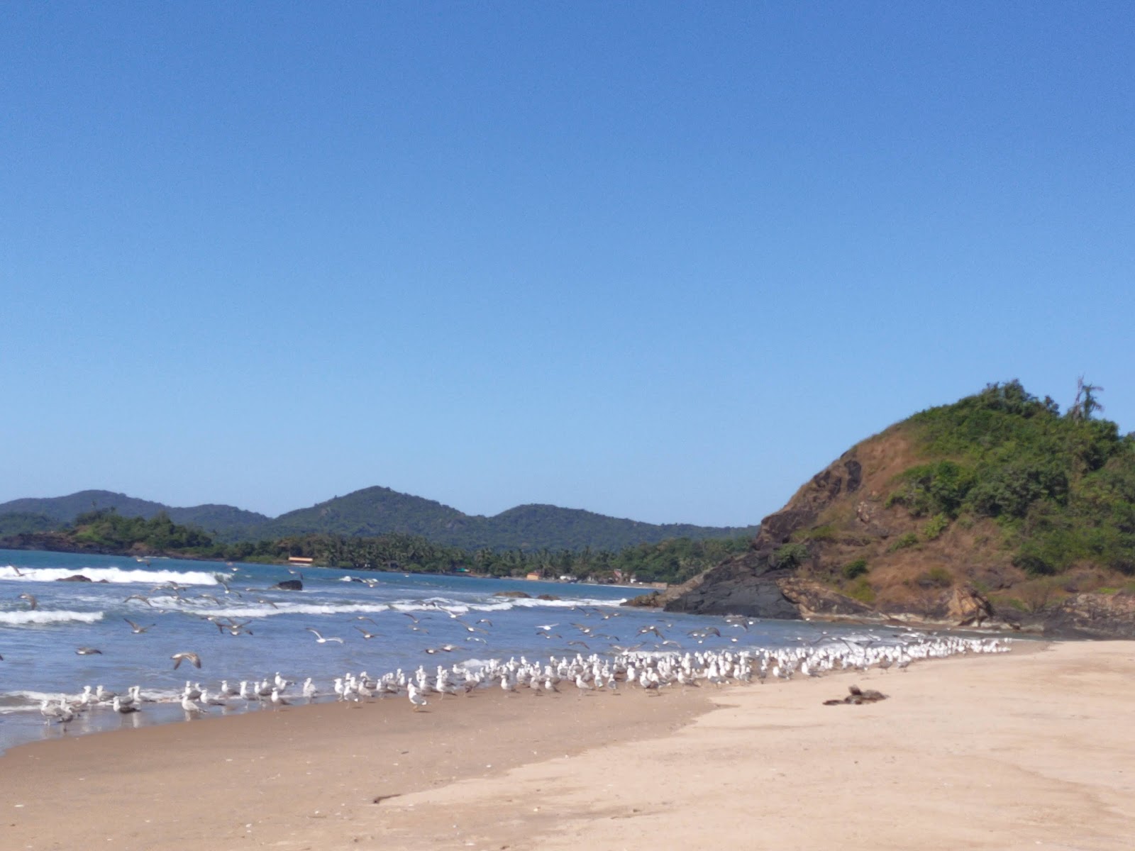 Rajbag Beach, South Goa