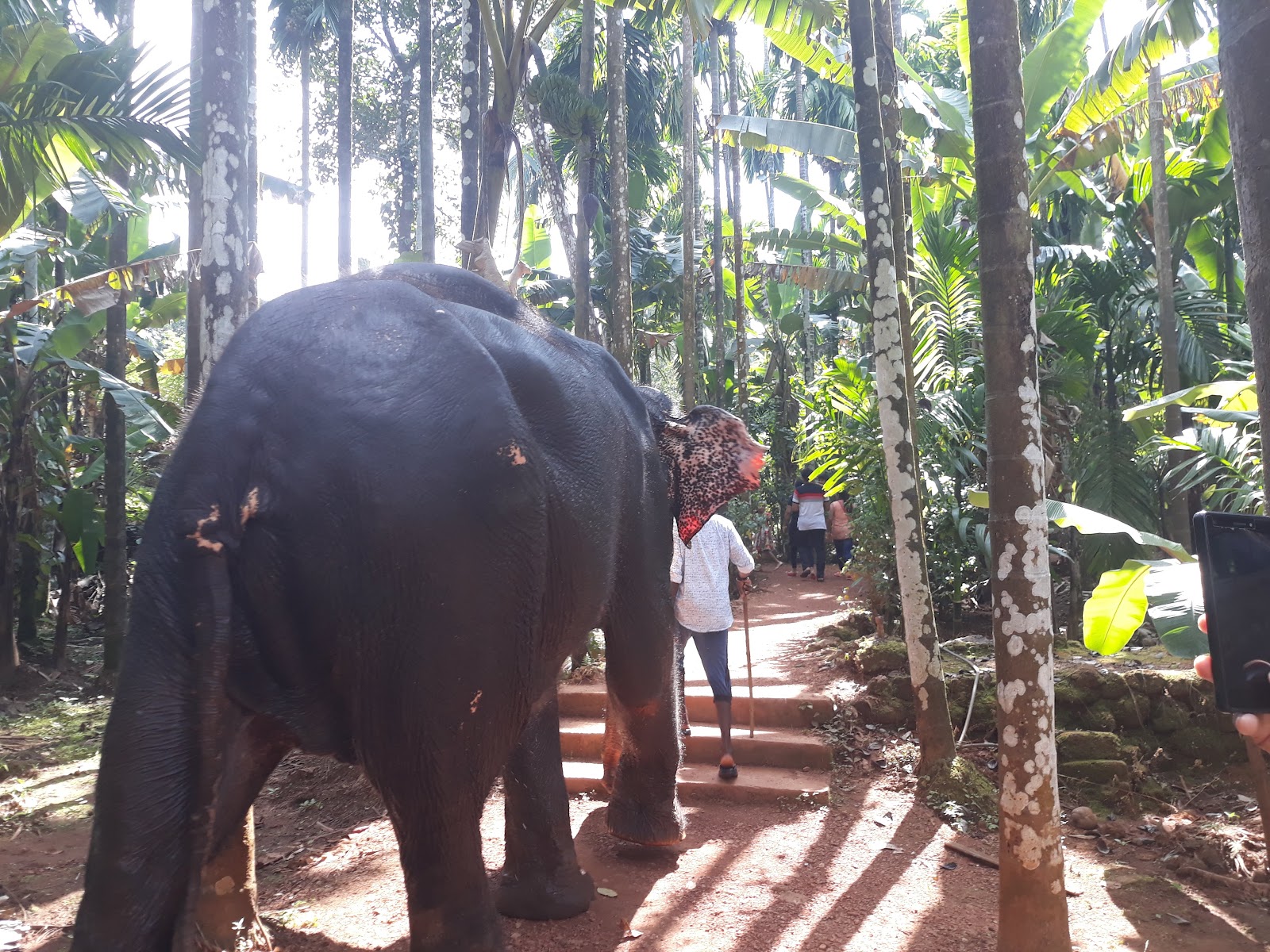Sahakari Spice Farm