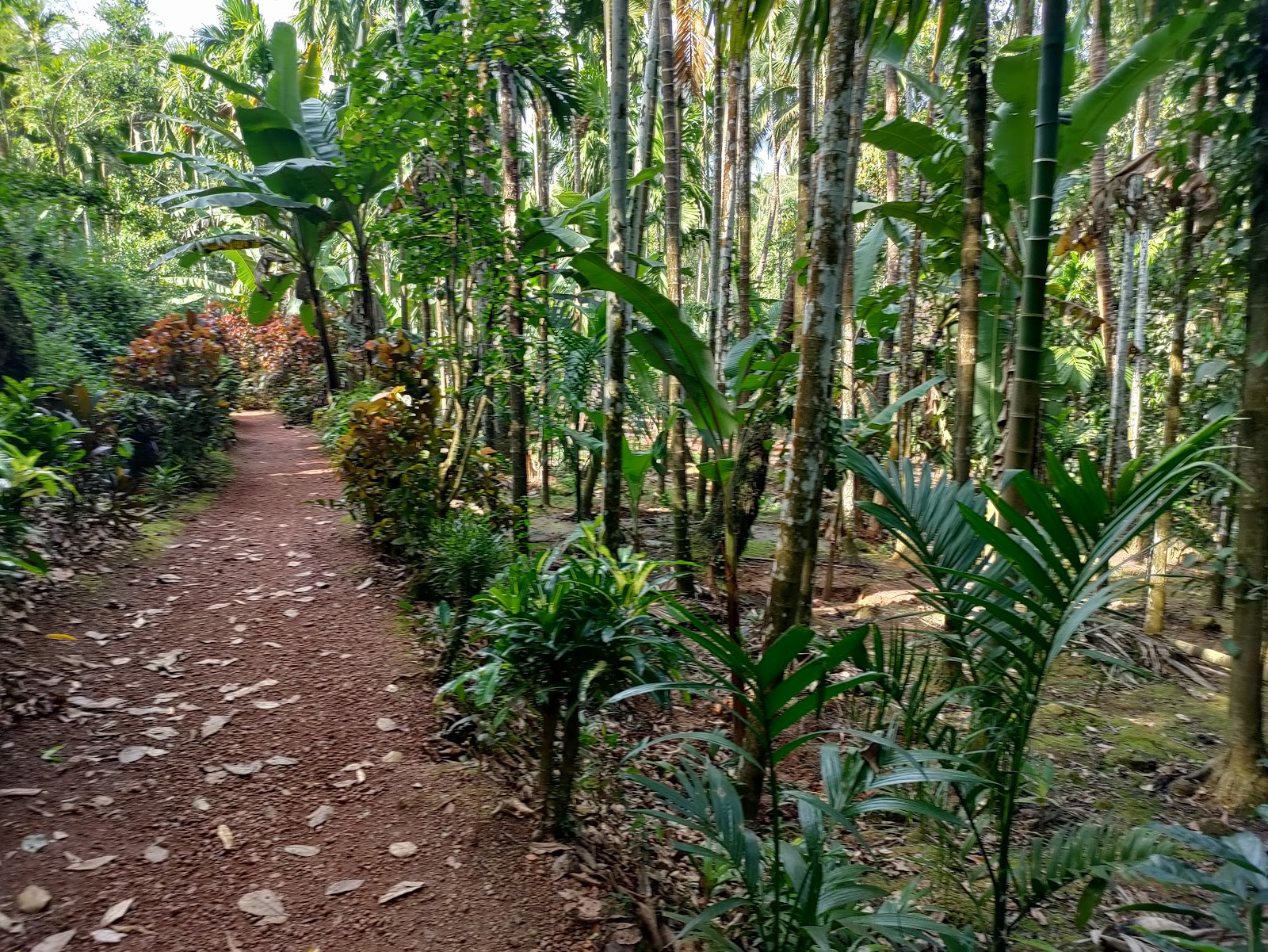 Sahakari Spice Farm