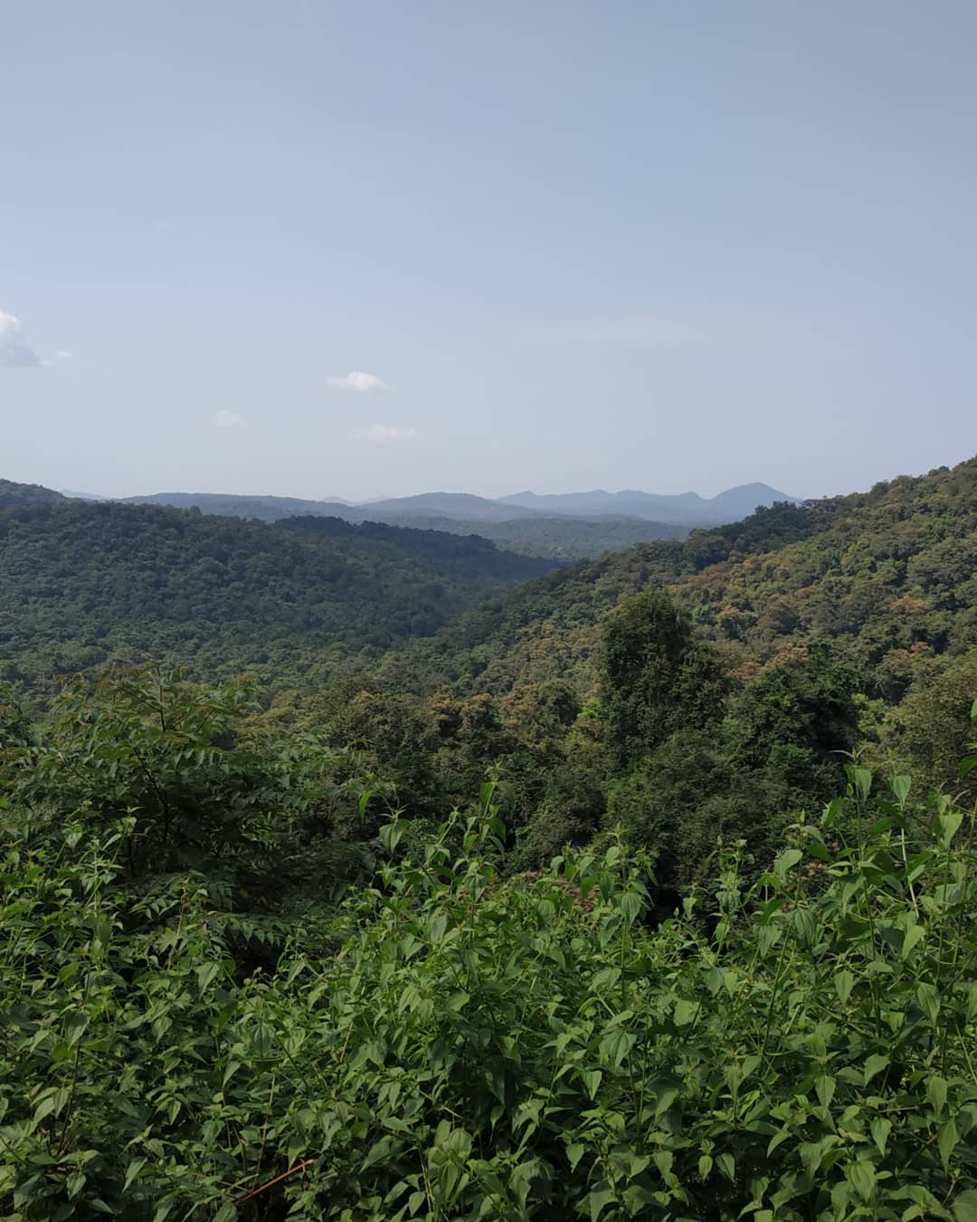 Neturlem Waterfall (Savri)