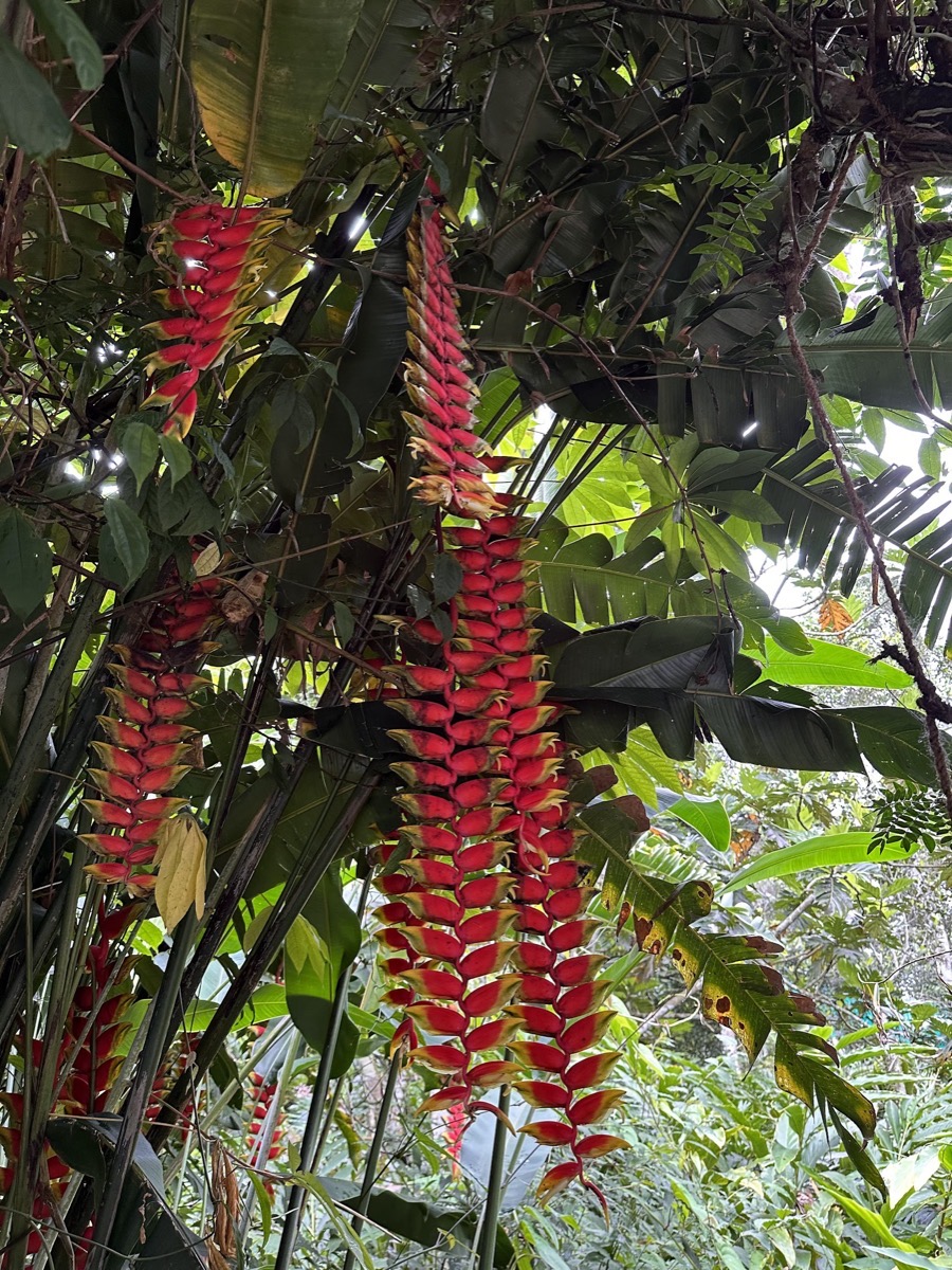 Abraham's Spice Garden