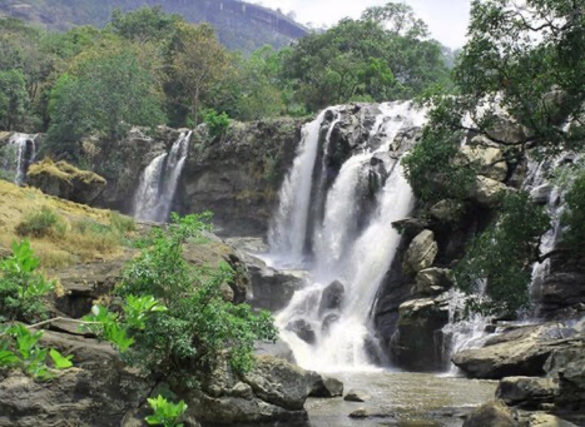 Chinnar Wildlife Sanctuary