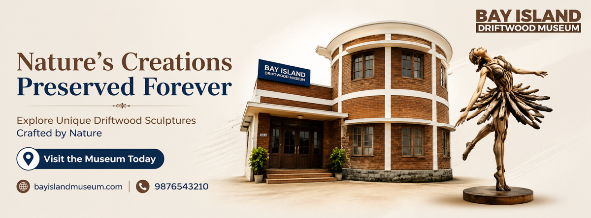 Bay Island Driftwood Museum
