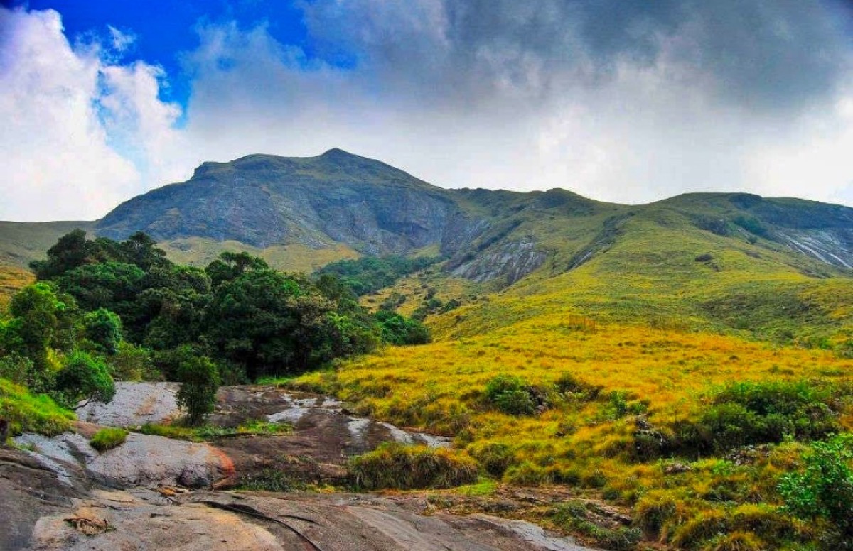 Eravikulam National Park, Munnar