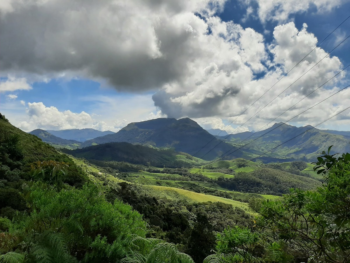 Eravikulam National Park