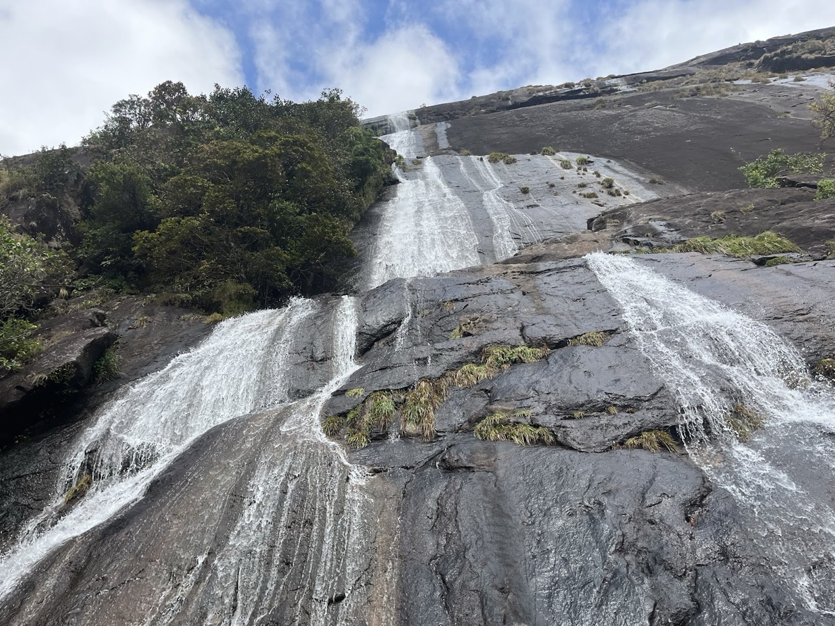 Eravikulam National Park