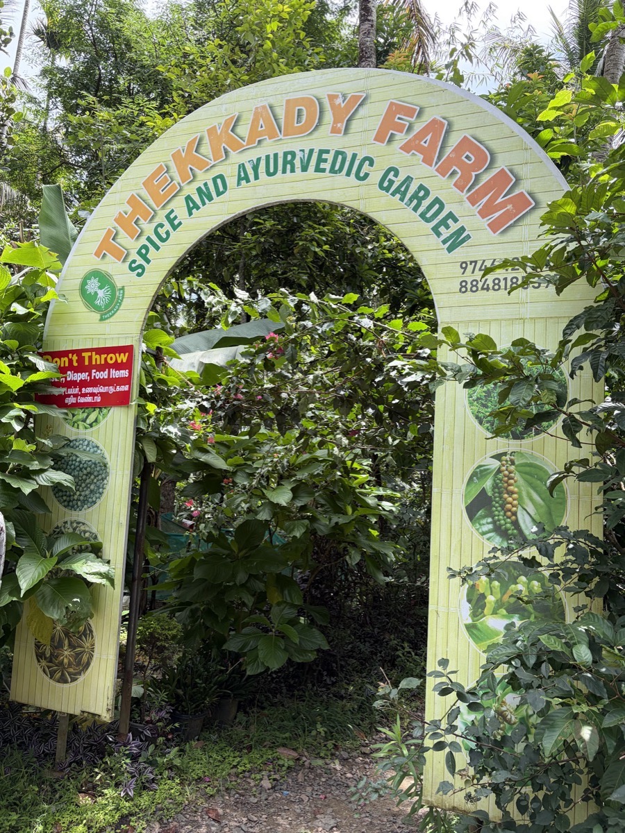 Thekkady Farm spice garden