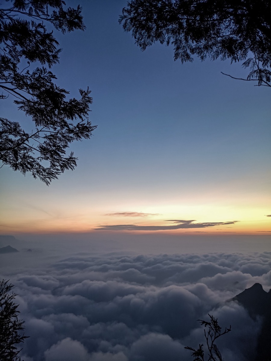 Kolukkumalai sunrise (tea estate)