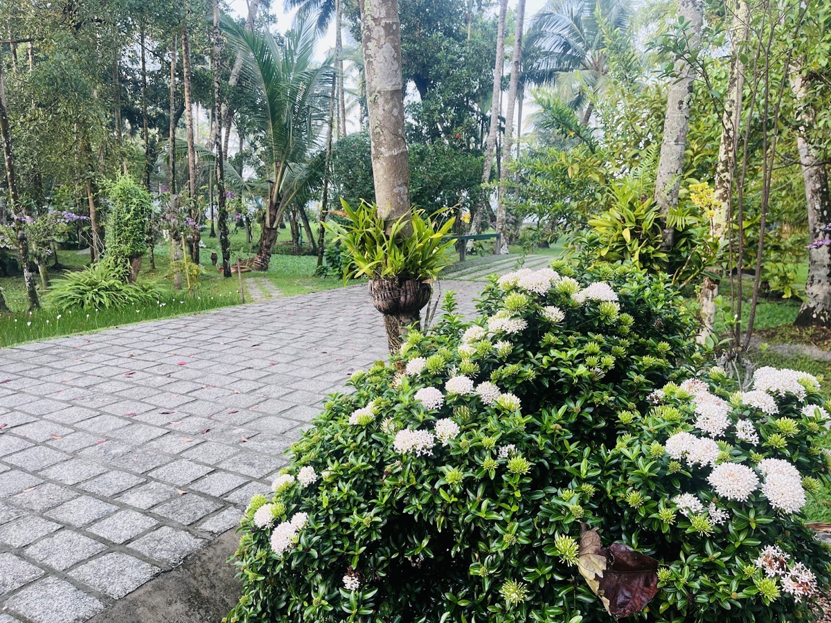 Kumbalangi village tour