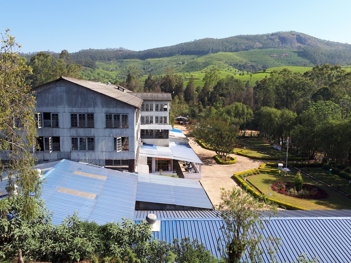 Lockhart Tea Factory