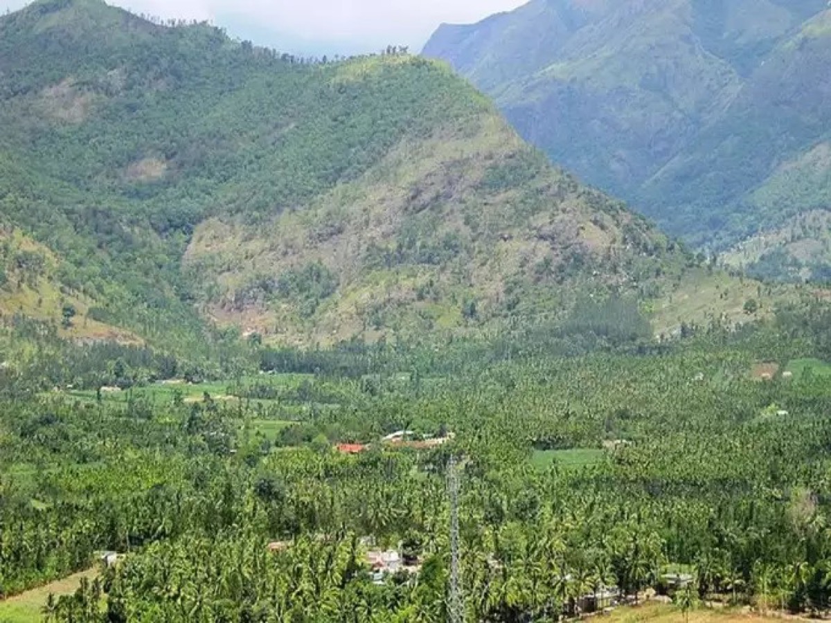 Marayoor dolmens & sandalwood