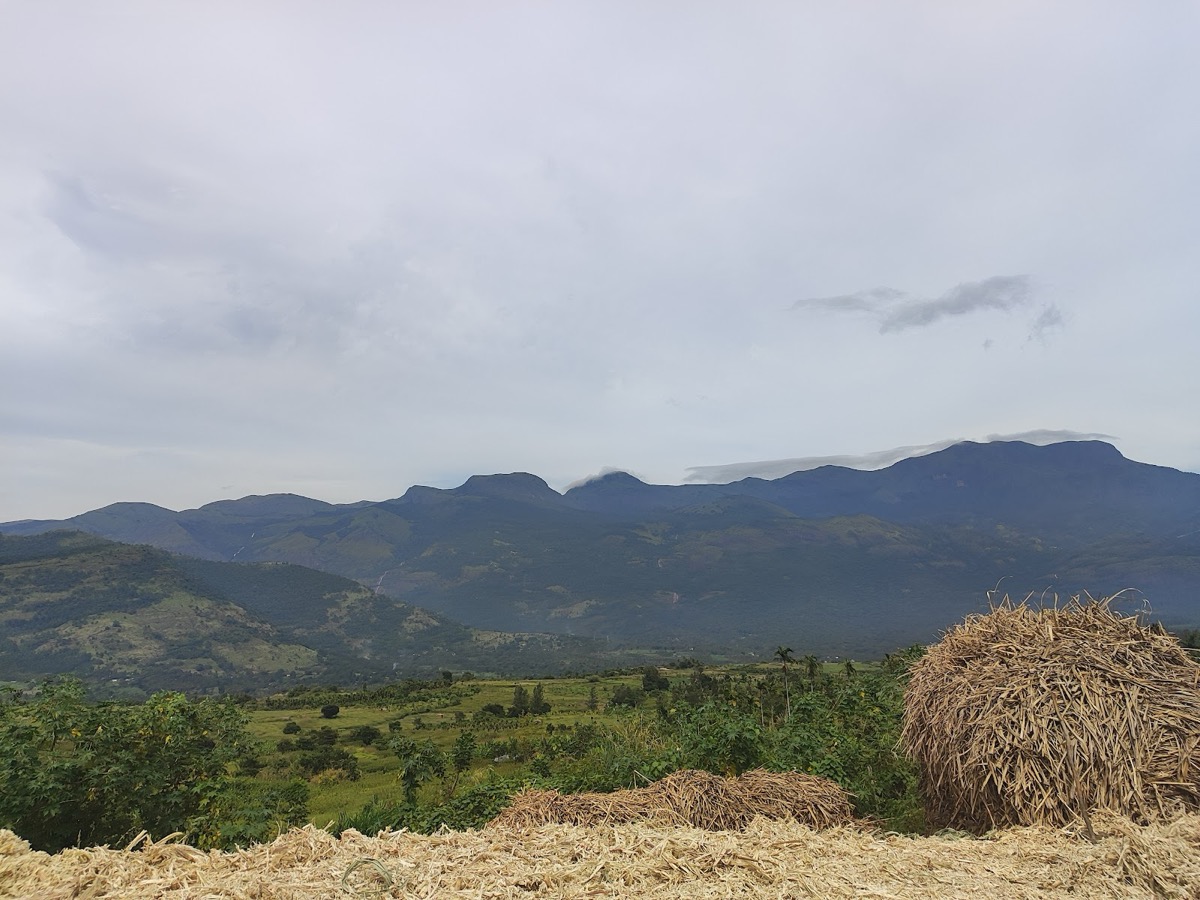 Marayoor jaggery unit