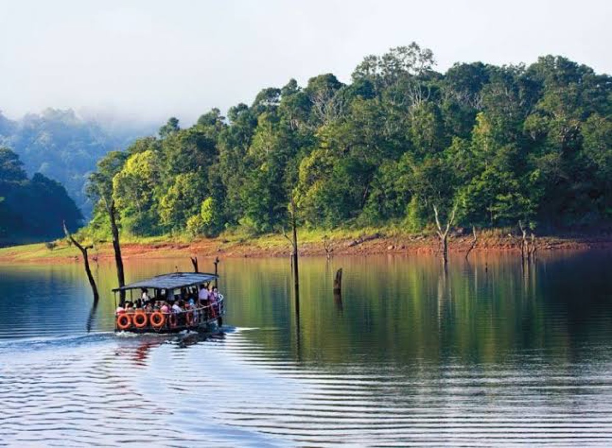 Periyar National Park, Thekkady
