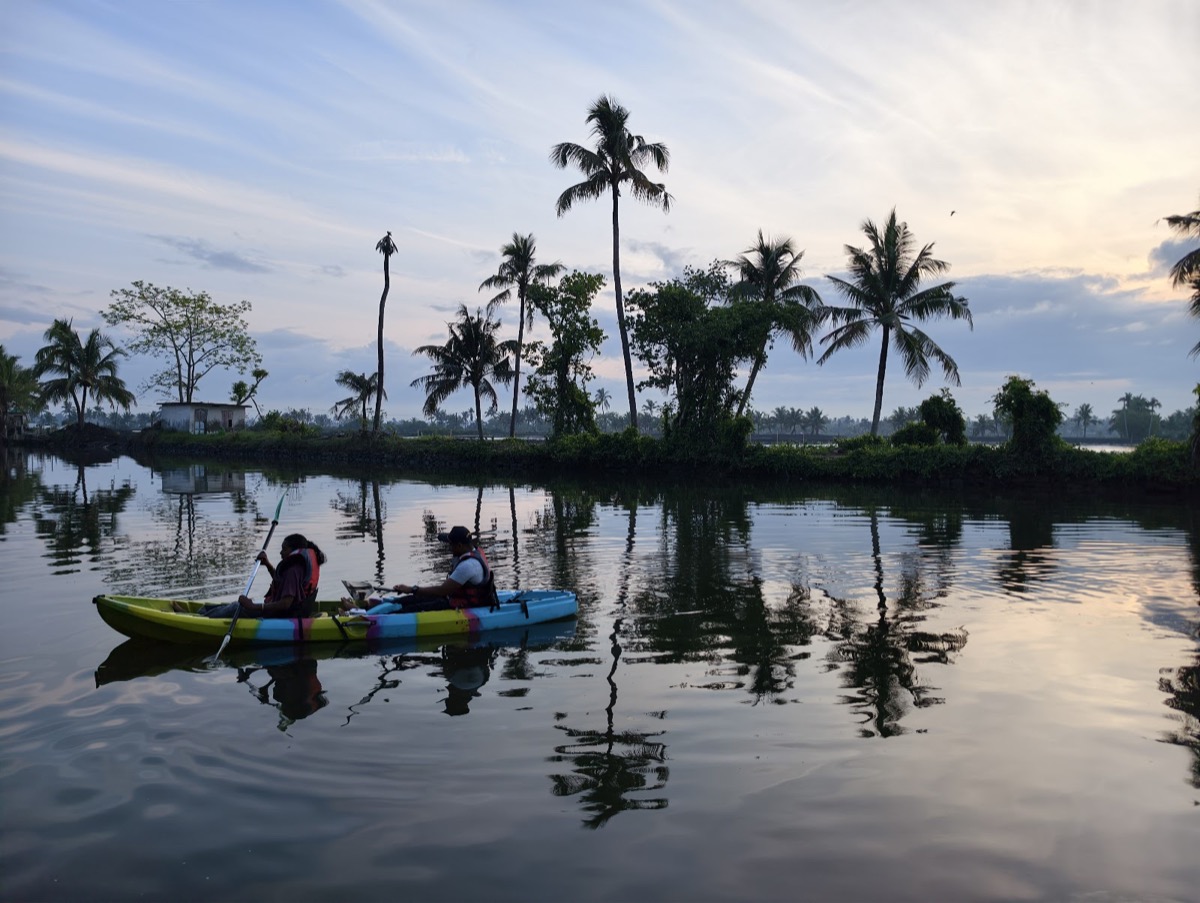 Mangrove kayaking, Kadamakkudy
