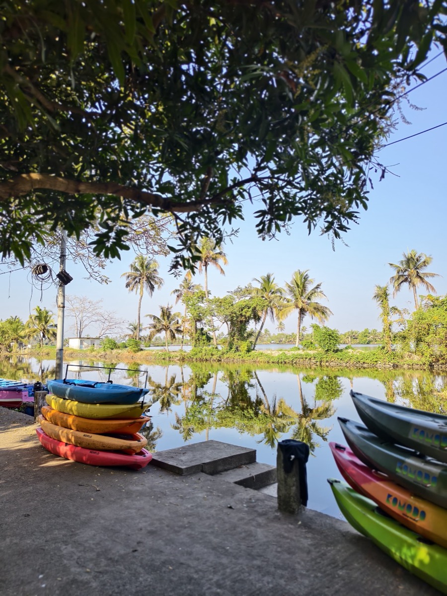 Mangrove kayaking, Kadamakkudy