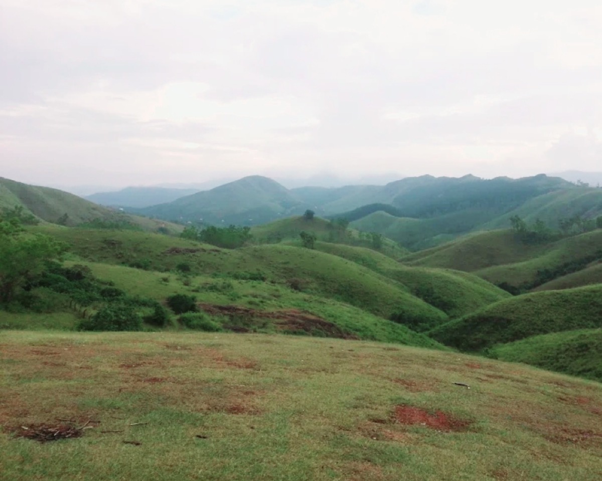 Vagamon Meadows & pine forest