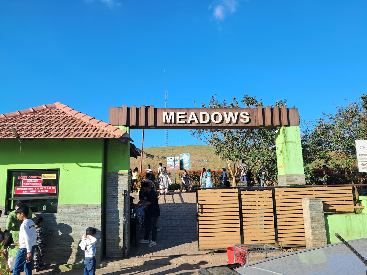 Vagamon Meadows & pine forest