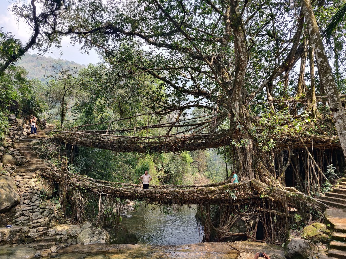Double-decker root bridge, Nongriat