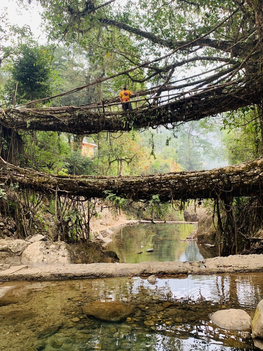 Double-decker root bridge, Nongriat