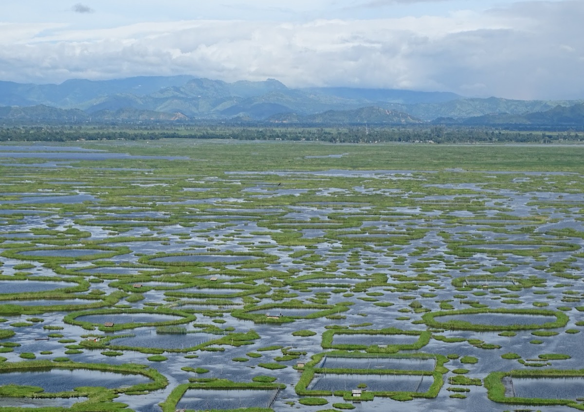 Manipur — Loktak Lake