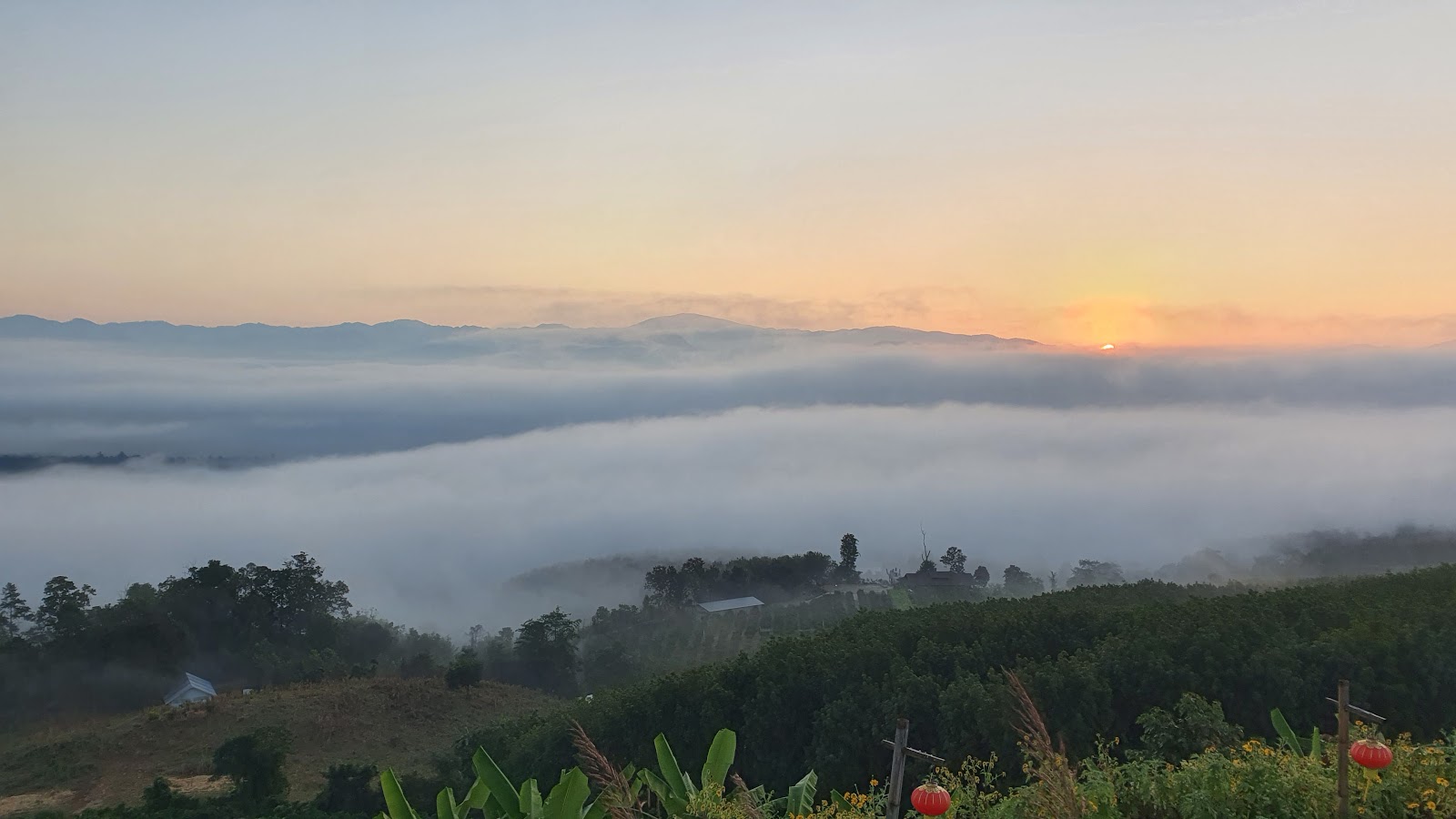 Yun Lai Viewpoint